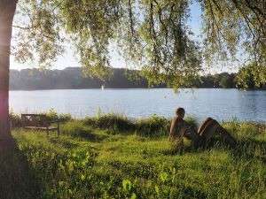 Sommer-Bilder vom Weßlinger See